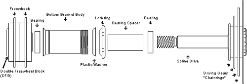 Intermediate Shaft