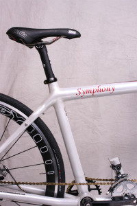 Carbon Fiber Tandem Bicycle