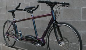 Electric Assist Tandem